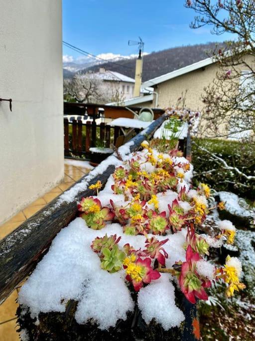 La Terrasse Du Fourcat Διαμέρισμα Saint-Paul-de-Jarrat Εξωτερικό φωτογραφία
